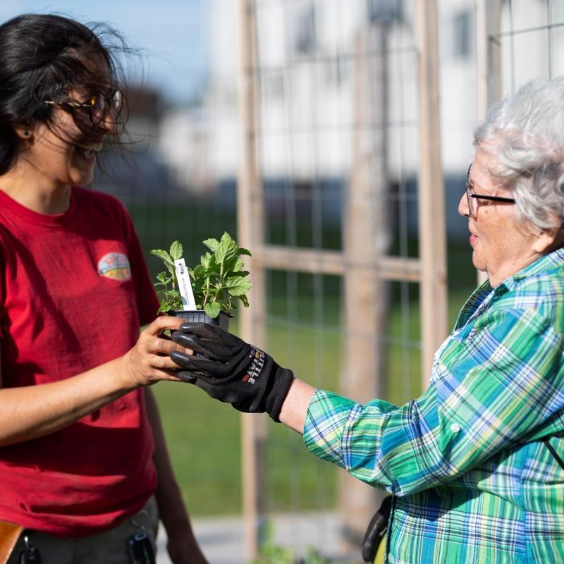 A plant is exchanged at a Starlight event. "Happy residents lead to stronger communities," Starlight says. (Courtesy Starlight Investments)
